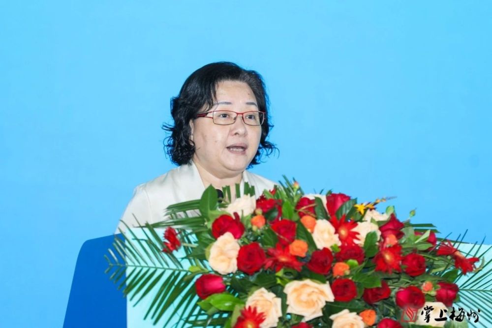 五五世纪(中国游)官方网站